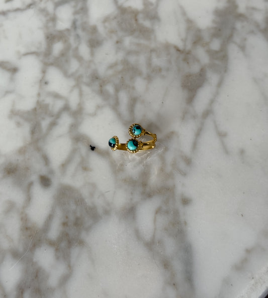 Anillo Turquenita